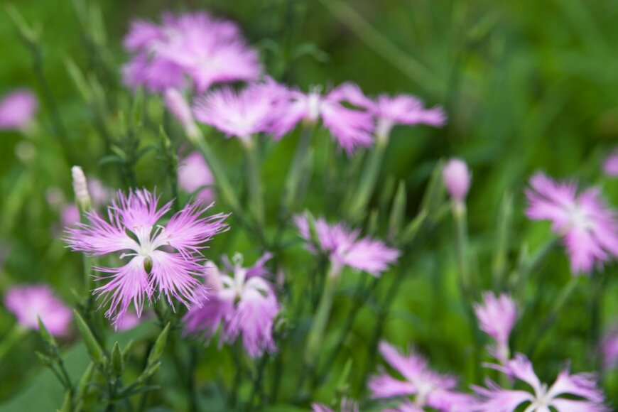 zzz555zzz/istockphoto.com