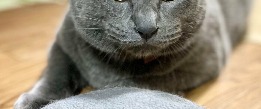 出所：@luna7taka9