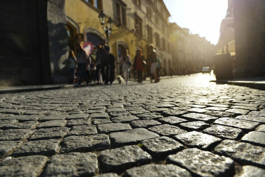 Nick Starichenko/shutterstock.com