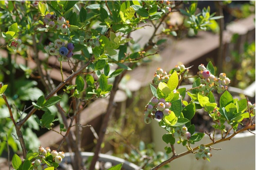 Takuya Aono/istockphoto.com