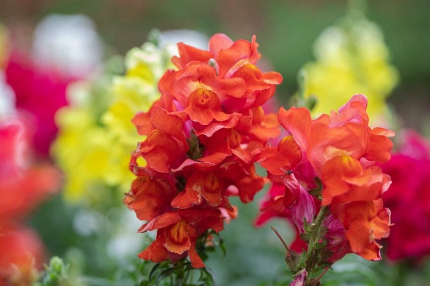 phanthit/istockphoto.com