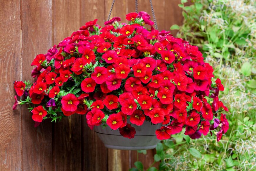 Klever_ok/shutterstock.com