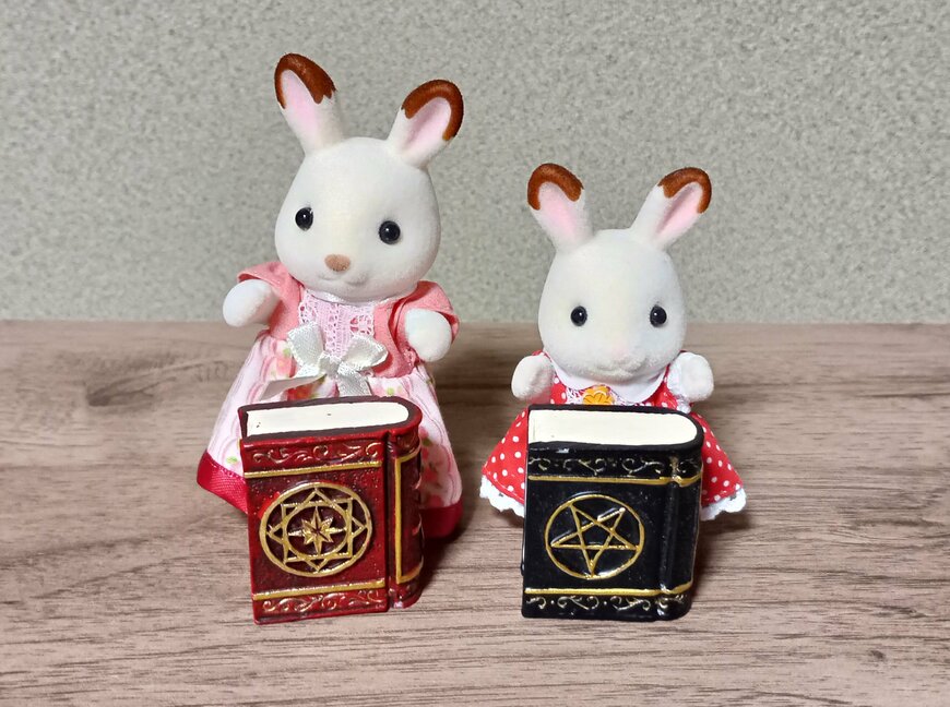 筆者撮影（セリア、リトルフレンド 魔法本）