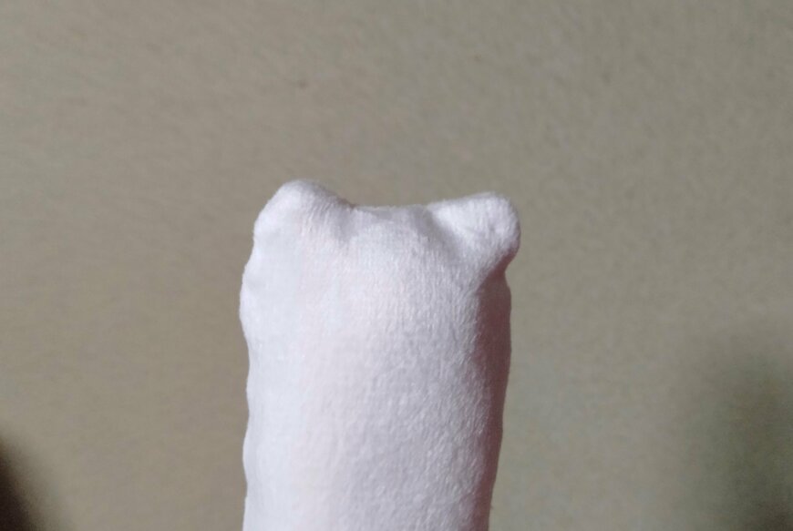 筆者撮影（セリア、ペットのおもちゃ おこじょ・カワウソ）