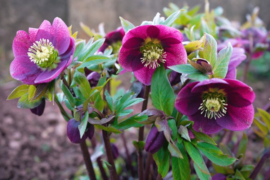 Maksims Grigorjevs/istockophoto.com