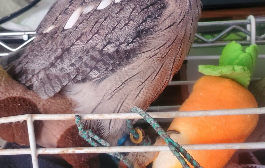 出所：@khmFvyd8Z1Xt4rB