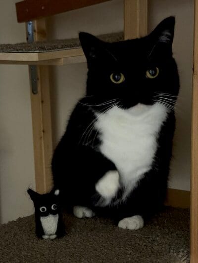 出所：＠unicouniuni3