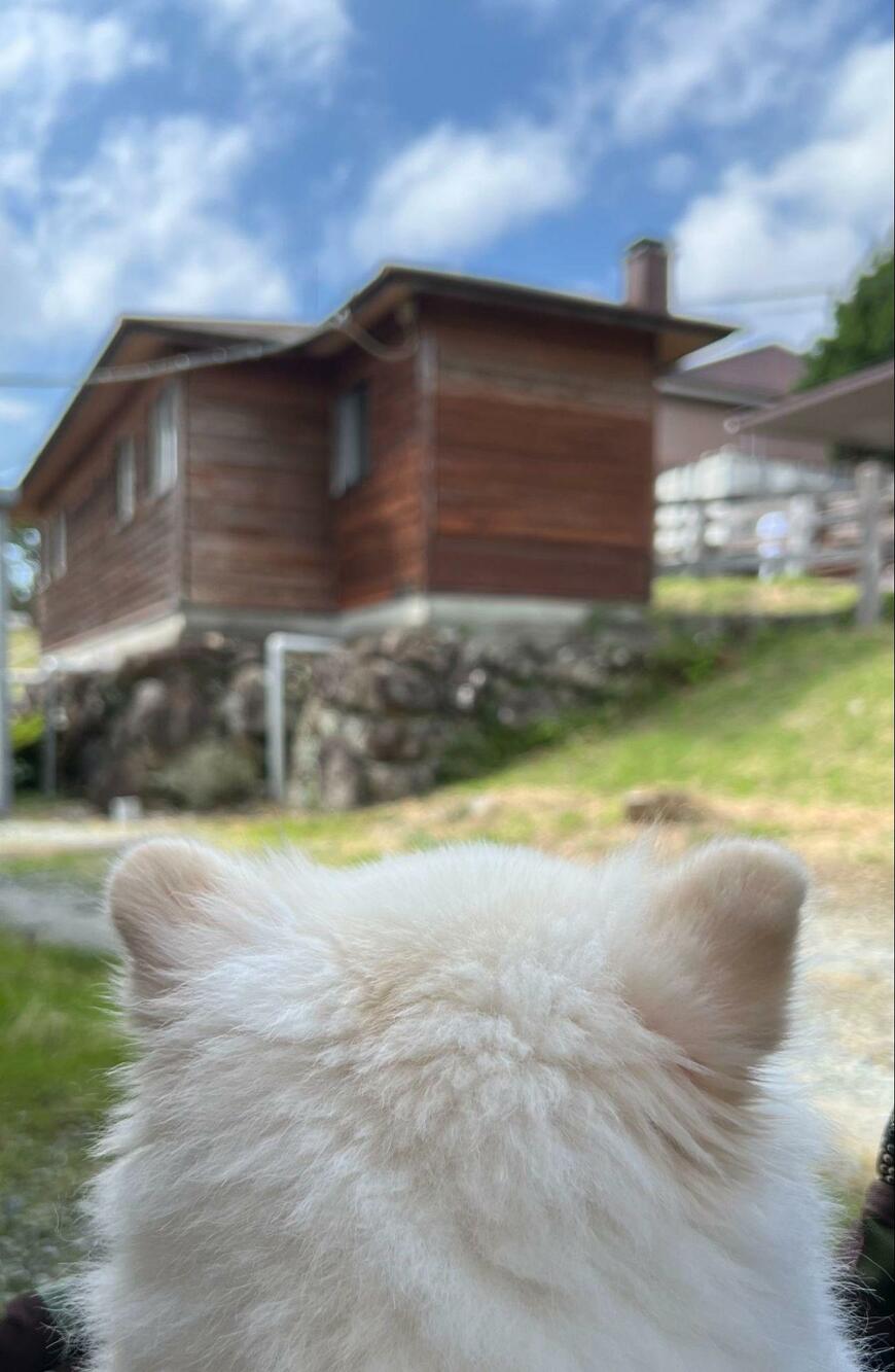 出所：@boku_ponchan