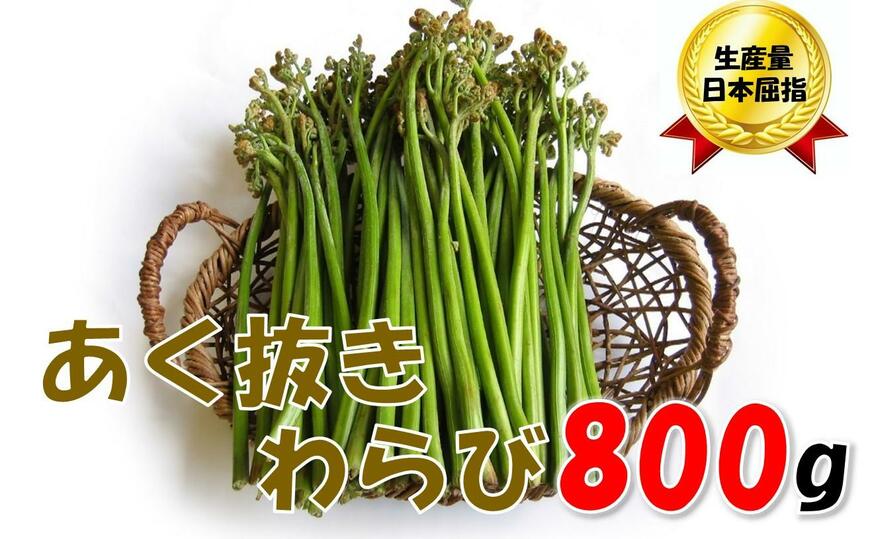 【通常配送】あく抜きわらび 200g×4束