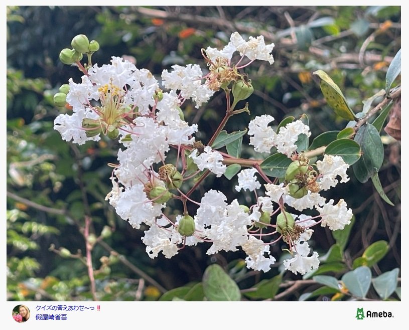 假屋崎省吾のAmebaブログ投稿