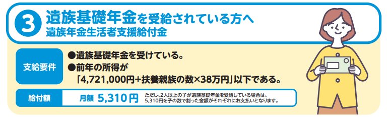 遺族年金生活者支援給付金の概要