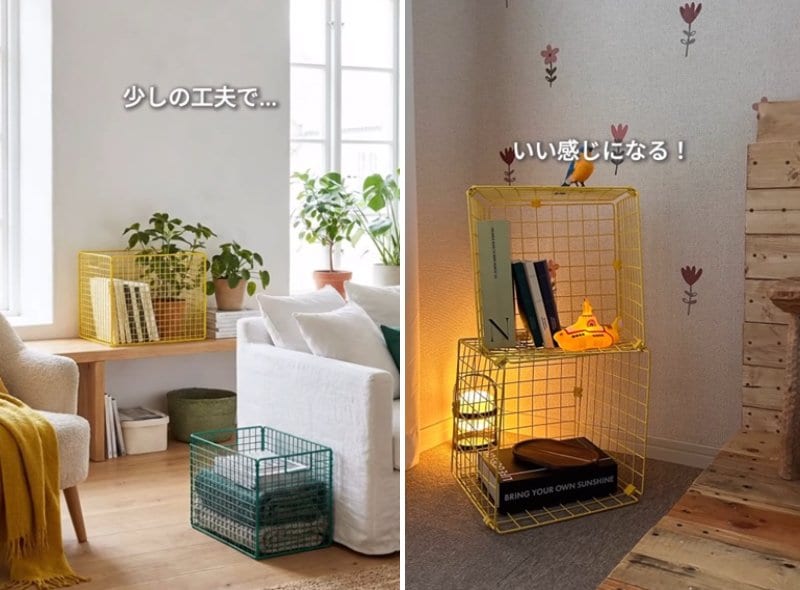 投稿の画像