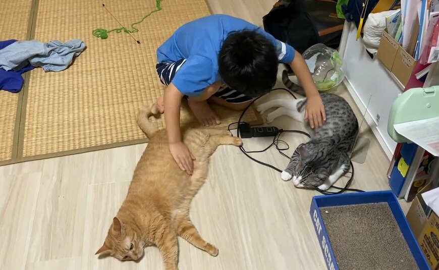 台風で休校の子供と猫