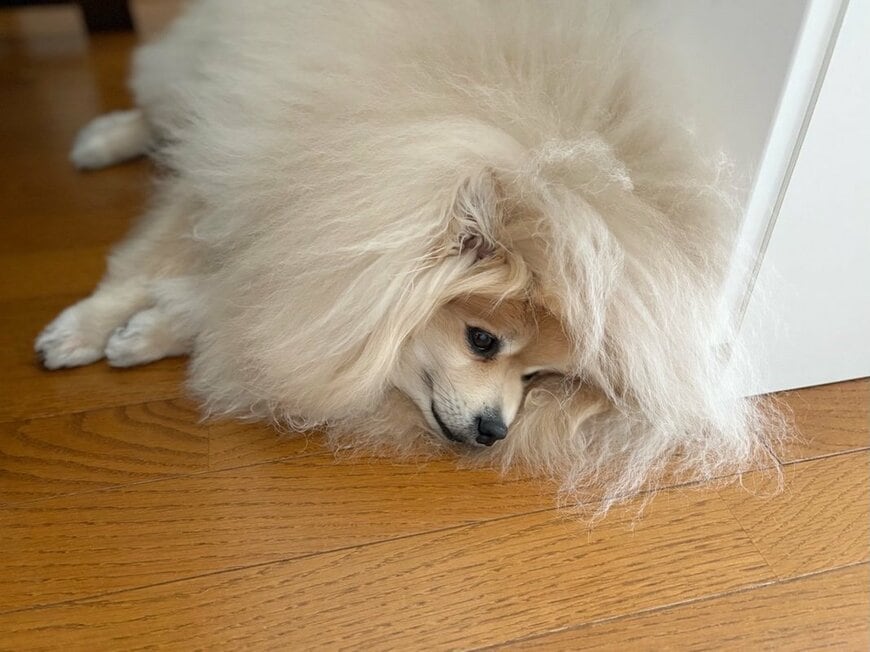 投稿の画像