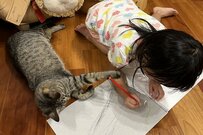 保護した猫を大事に思う長女がとった「天使のような愛情表現」にホッコリ