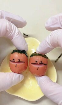 高校生の息子さん＆旦那さんに作る「青椒肉絲＆鶏とピーマン黒酢ソース弁当」が美味しそう