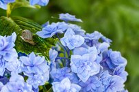 「厚生年金・国民年金」6月支給分から2.7%増額！年金振込通知書もチェック