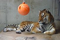 関西人おすすめ、関空から好アクセスの穴場スポット