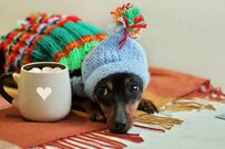 驚くほど快適！電気代を節約する「あったかアイテム」5選