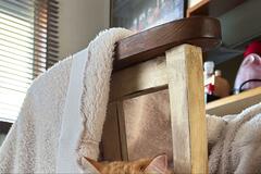 出勤直前に悲鳴を上げた妻【1.8万バズ】見に行くと…まさかすぎる猫の光景に納得