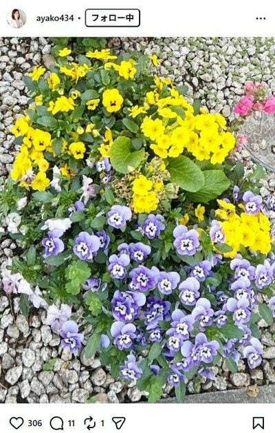 小林綾子のInstagram投稿