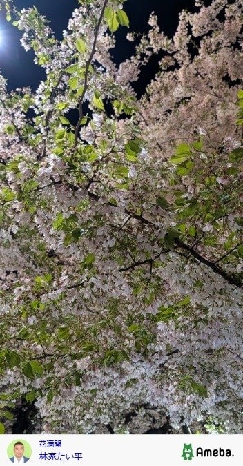 林家たい平の公式ブログ投稿