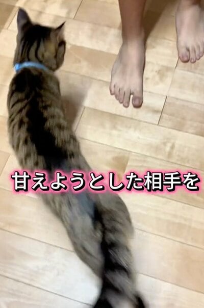 投稿の画像