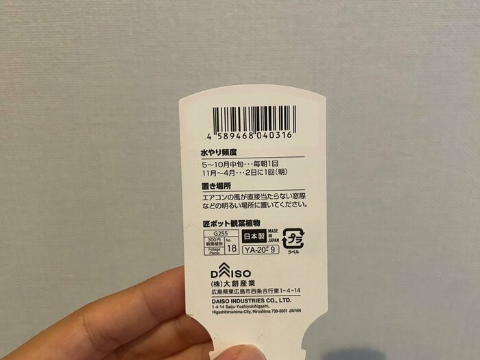 水やりの頻度や置き場所の解説がありました