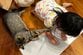 保護した猫を大事に思う長女がとった「天使のような愛情表現」にホッコリ