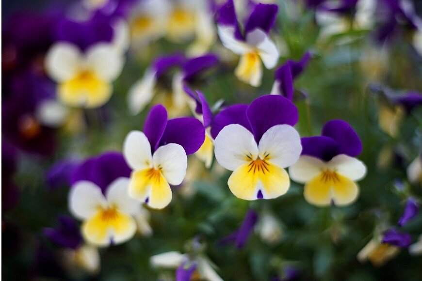 undefined undefined/istockphoto.com