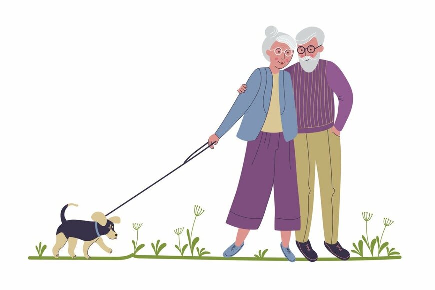 【申請しないともらえない】シニア向けの公的なお金5選!「年金生活者支援給付金」や「高年齢求職者給付金」など《給付金・手当》をわかりやすく解説!