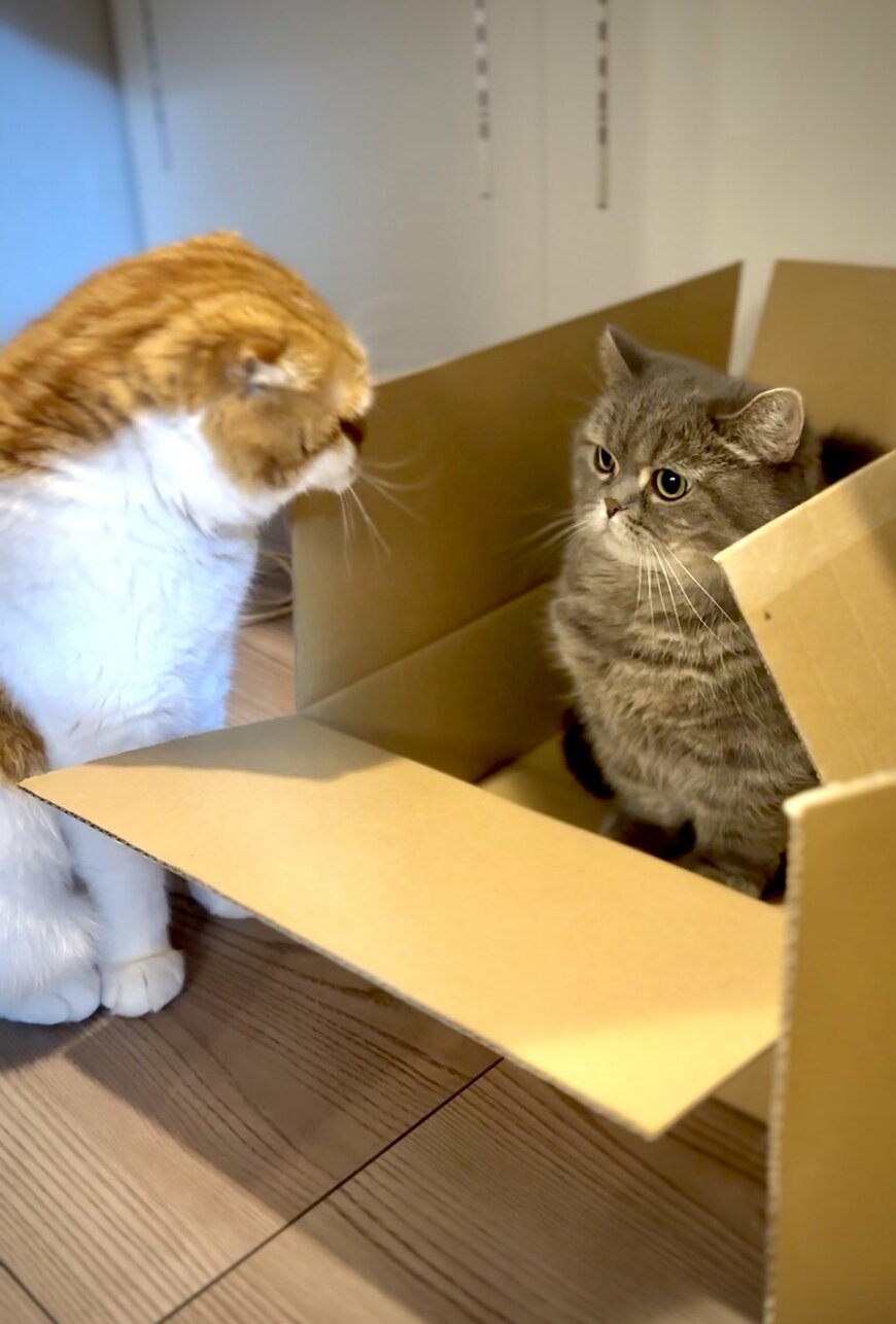 出所：@himaritomugi