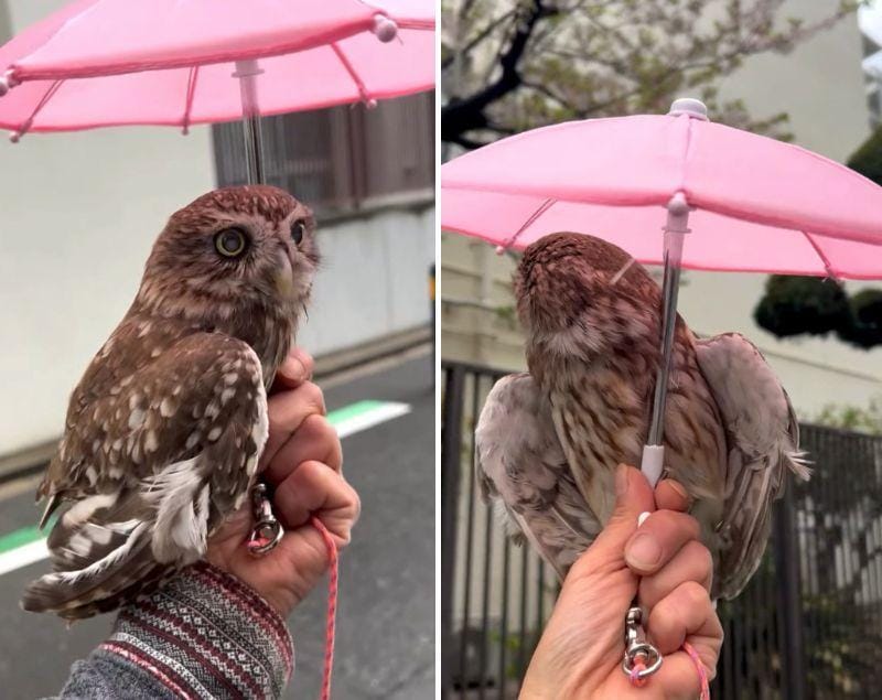 出所：@cr8673.hiro