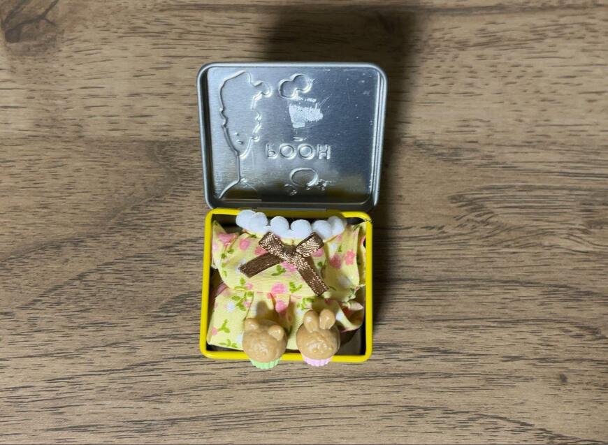 筆者撮影（セリア、プー＆フレンズ ミニミニ缶ケース）