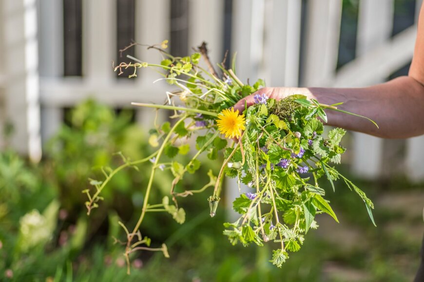 David Prahl/shutterstock.com　