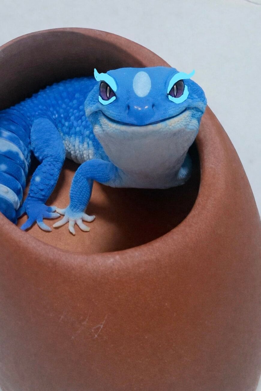 出所：@Cava84182257