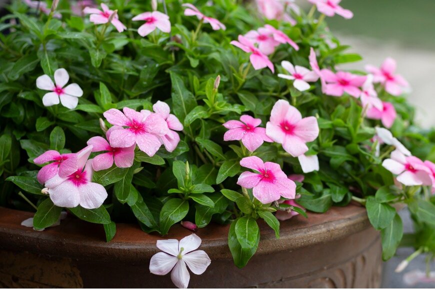 Wira Thigosee/istockphoto.com