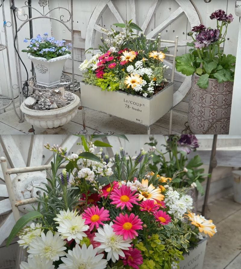 出所：@petit_fleur