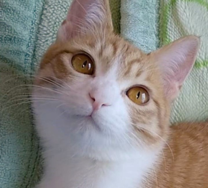 出所：@mero627puri914 