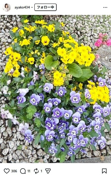 出所：小林綾子のInstagram（＠ayako434）　参照日：2026年4月13日