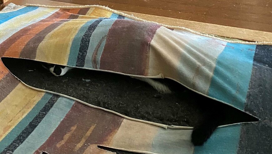 出所：＠00shitemita