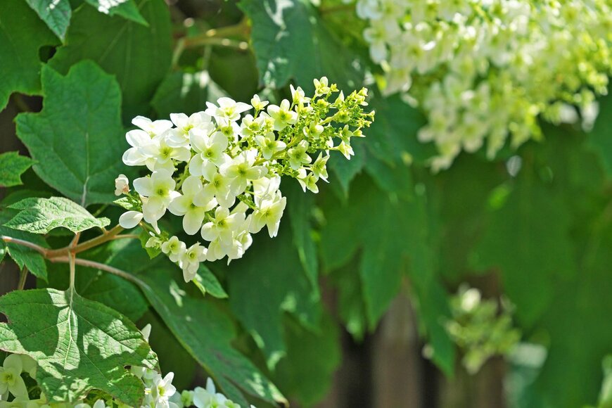 igaguri_1/istockphoto.com