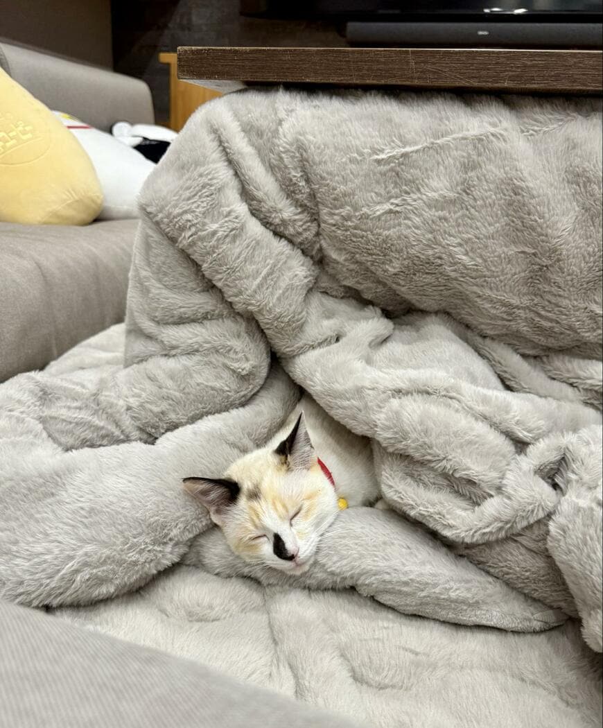 出所：@omochi_nam01