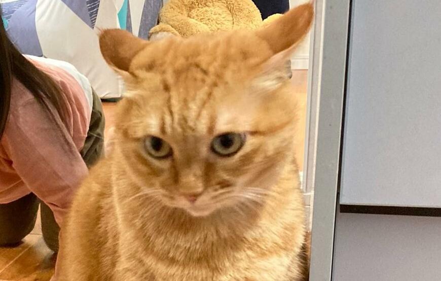 出所：@kagisuzu0531