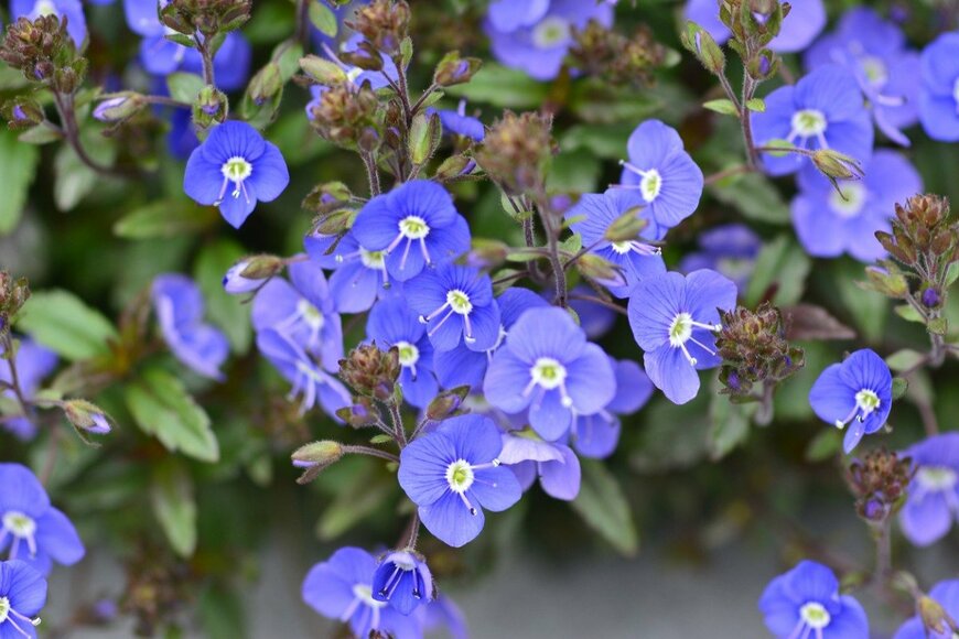 Ahmed bsr/istockphoto.com