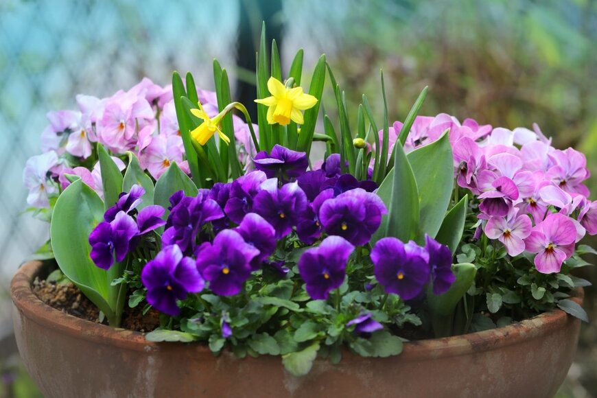 Florist Kuniko/shutterstock.com