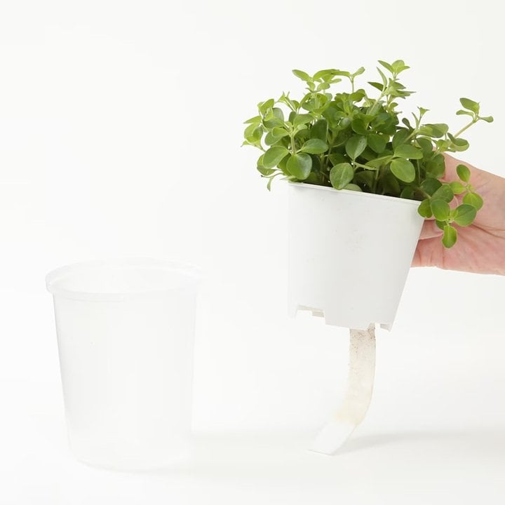 画像出所：無印良品公式オンラインストア