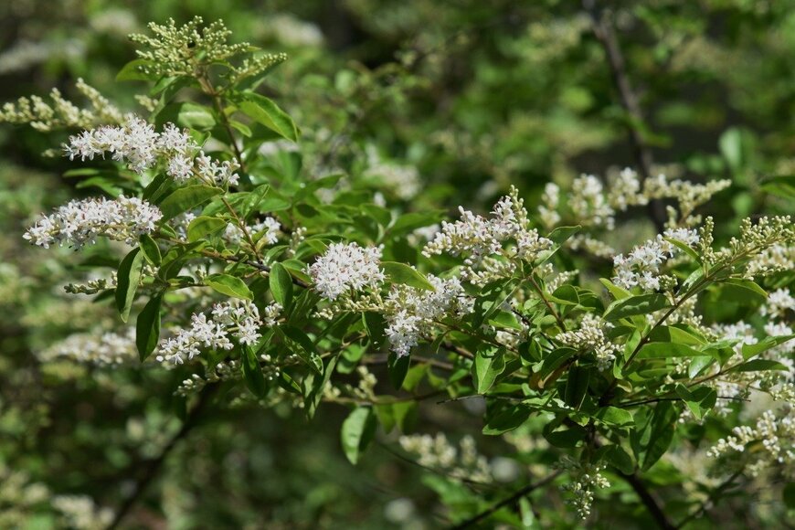 undefined undefined/istockphoto.com