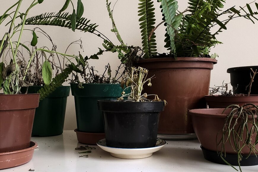 Hada Maria/shutterstock.com