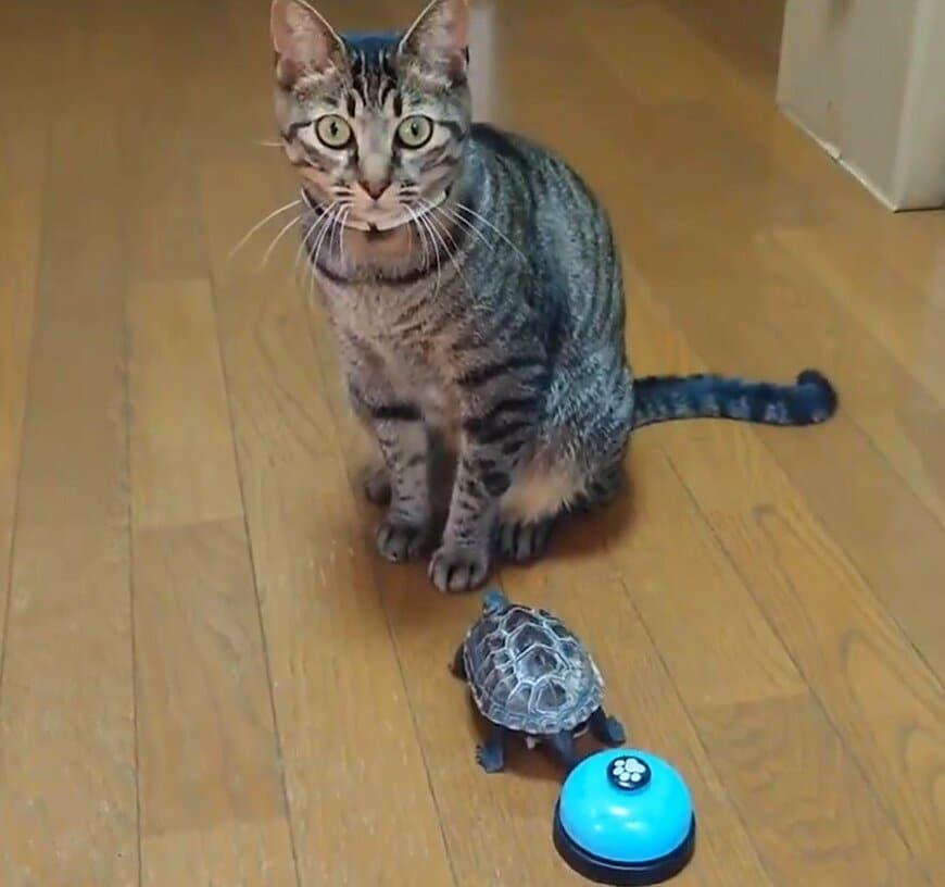 出所：@Mh0MLiErcV8E97C